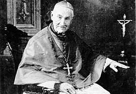 św. Jan Antoni Farina, biskup
